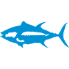 bluefin tuna