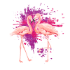 Flamingo animals