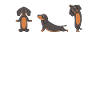 Dachshund Yoga