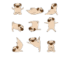 Yoga Pug Dogs Funny