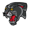 black panther