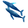 zwei Wale