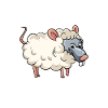 Brebis à rats