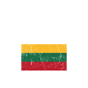 Lithuania Arc Flag Graphic