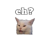 Smudge the Cat - Dinner Cat Memes
