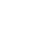 Goose wild geese