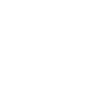 Goose swarm flying
