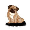 PUG