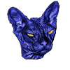 Cat Sphynx ,Cat Sphinx,Cat Shirt
