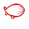 red zeppelin