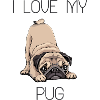 I love my pug