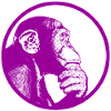 Think after monkey chimpanzee
