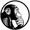 Think after monkey chimpanzee