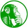 Think after monkey chimpanzee
