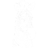 Zebra white