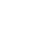 Pro skis