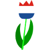 Netherlands tulips