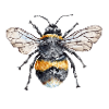 Bee Happy