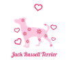 Jack Russell Terrier