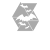 Bat Bat Wing Bat