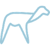 alpaca