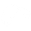 kite