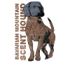 Bavarian mountain hound