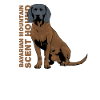 Bayerischer Gebirgsschweißhund