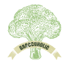 Vegan - broccoli vegetables