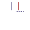 French patriot flag