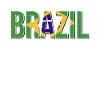 Brazilian flag typography