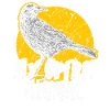 Crow raven bird