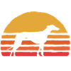 Greyhound in the sunset