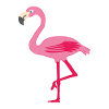 Flamingo pink