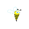 bee