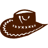 cowboy hat 2