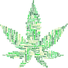 Weed marijuana cannabis leaf
