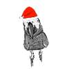Graupapagei Geschenkidee Weihnachten