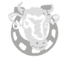 Vache t shirt