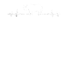 Rhino heartbeat