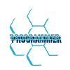 Computer programmer - Programmierer