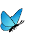 Chloé avec papillon bleu LiS