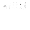 Holzfäller Evolution