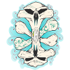 crâne miroir
