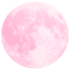 Pink Moon