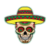 Mexican Sugar Skull Mexican Skull