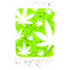 Cannabis hemp hashish marijuana