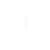 Schweizer Schäferhund - Evolution Gassi Gehen
