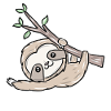 Sloth