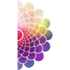 half rainbow